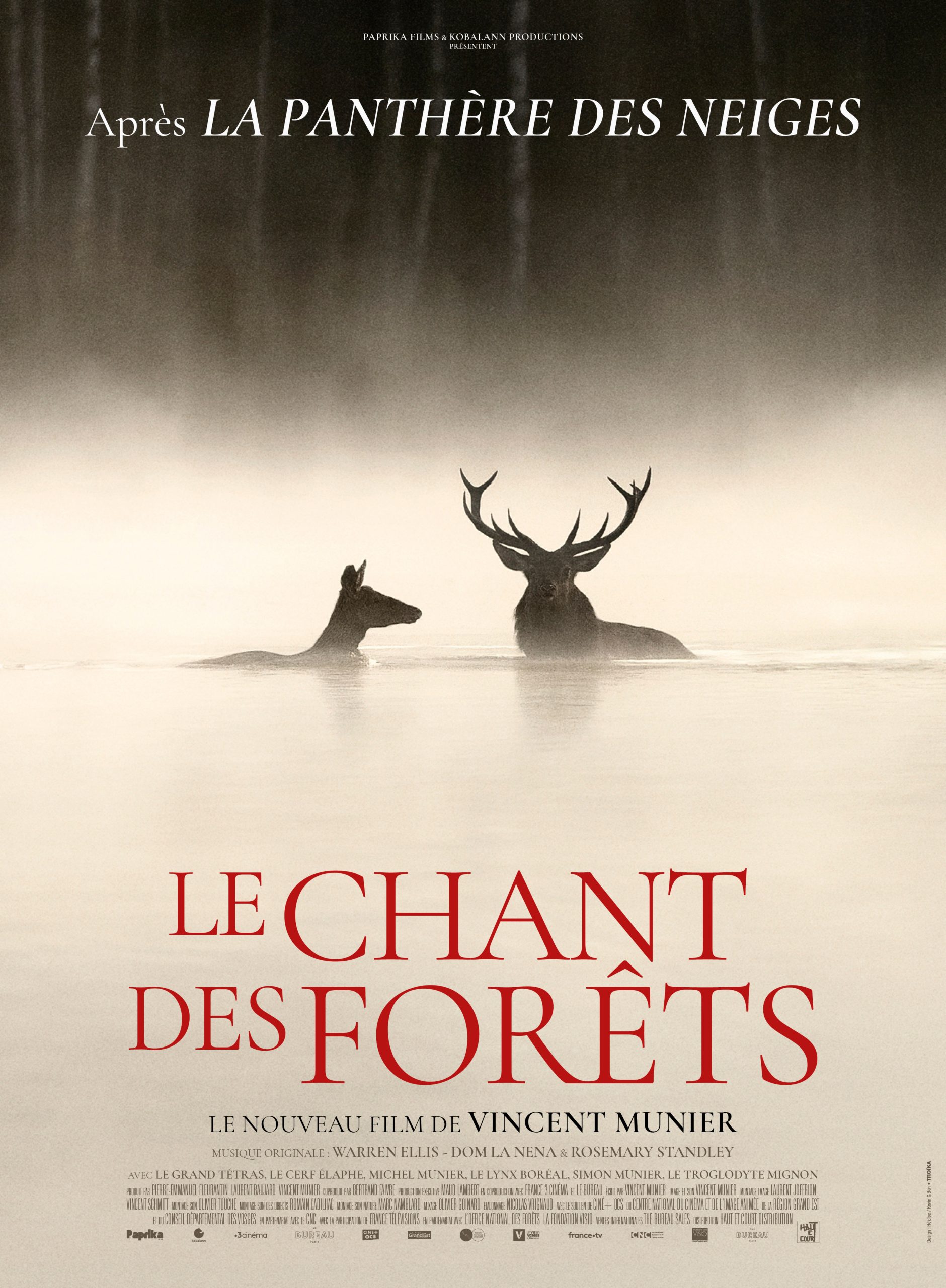 Lost in Frenchlation #6 – Le chant des fôrets